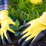 Five garden gloves for 2023：Highly recommend